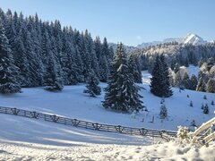 Barbat dragut, educat, doresc o relatie serioasa